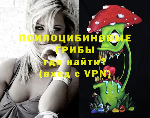 стафф Сатка