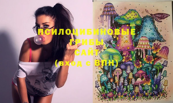 стафф Сатка