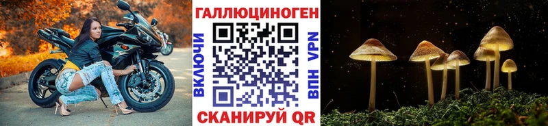 Купить  Среднеуральск  Псилоцибиновые грибы Cubensis 